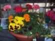 BILDER58.JPG