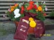 BILDER94.JPG