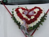 Entdecken Sie die die Welt der Blumen...